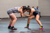 2026.01.31 PSD Stars girls wrestling - Lady Warhorse Tournament